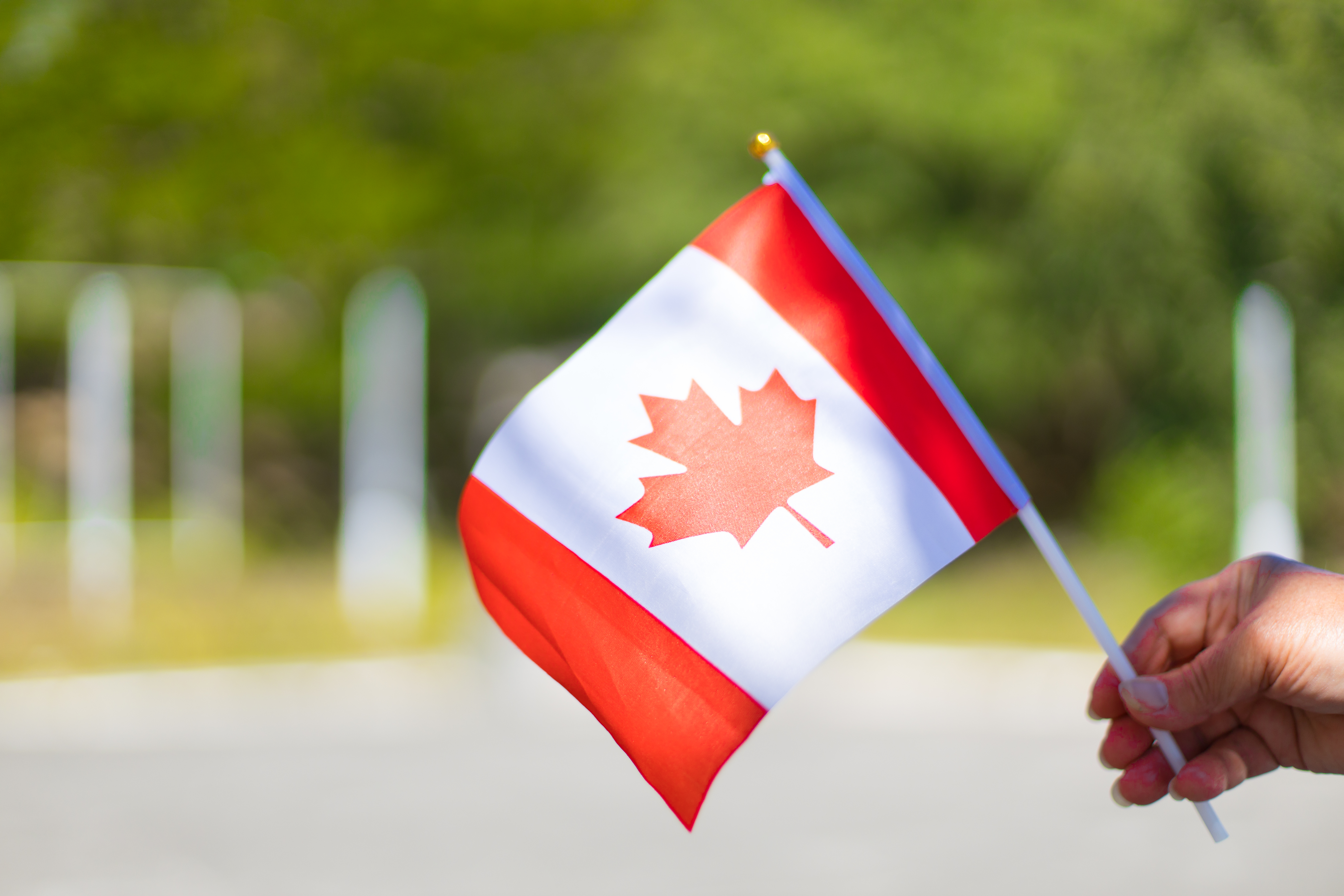 Female hand holding Canadian flag