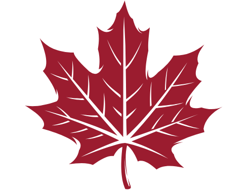 Immigration consultant professional